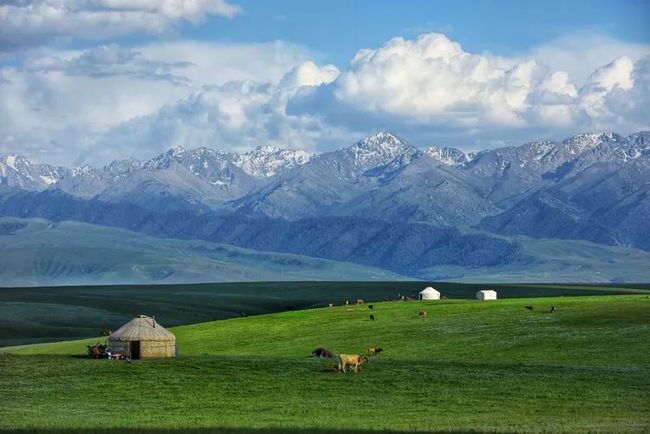 昭苏草原是我国著名四大草原之一，也是新疆旅游线路之一。