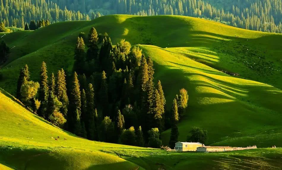 品味疆南-新疆美景之伊犁那拉提草原